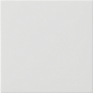 Gira Wippe einfach ohne Bedruckung, weiß