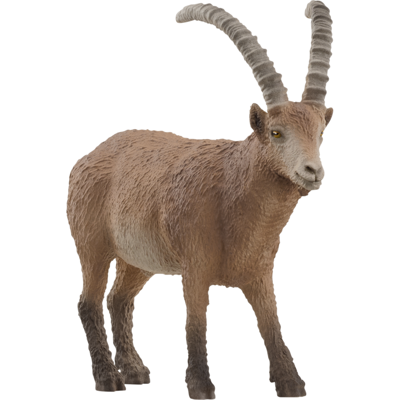 Schleich Wild Life Steinbock Spielfigur