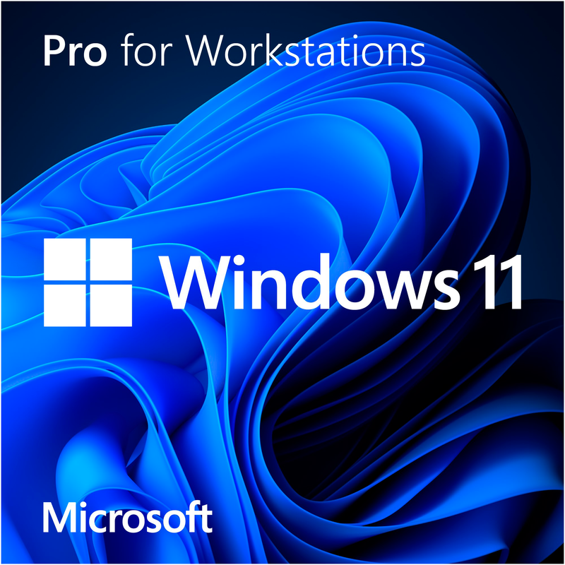 Microsoft Windows 11 Pro for Workstations Software