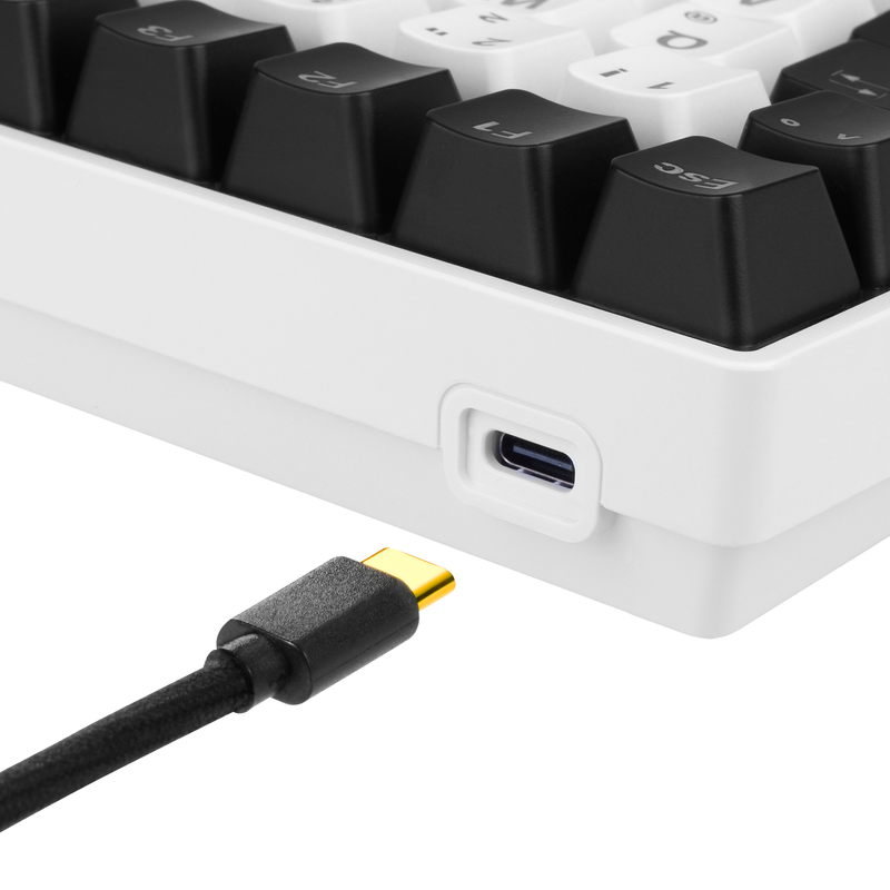 Sharkoon SKILLER SGK50 S3 Gaming-Tastatur, weiß, Gebraucht