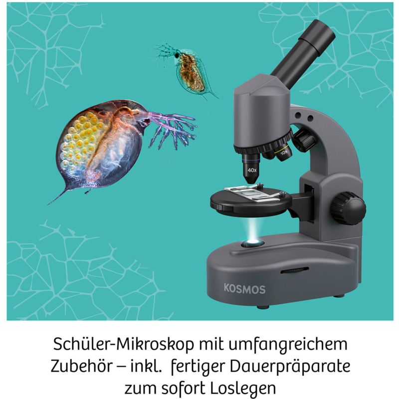 Kosmos Mikroskop Experimentierkasten