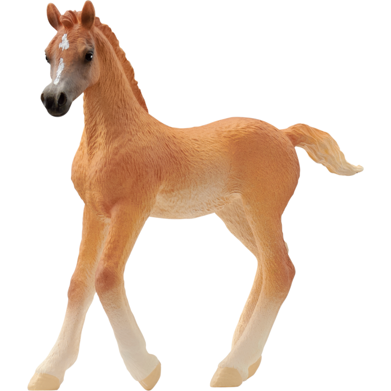 Schleich Horse Club Araber Fohlen Spielfigur