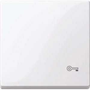 Merten Wippe Schlüssel Wechselschalter Kreuzschalter Taster Einsatz, weiß