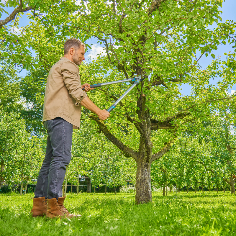 GARDENA Astschere EasyCut L, grau/türkis, 50cm