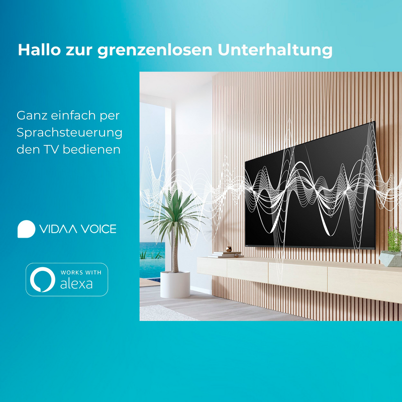 Toshiba 24WV2F63DAZ LED-Fernseher, schwarz, WXGA, VIDAA-Betriebssystem