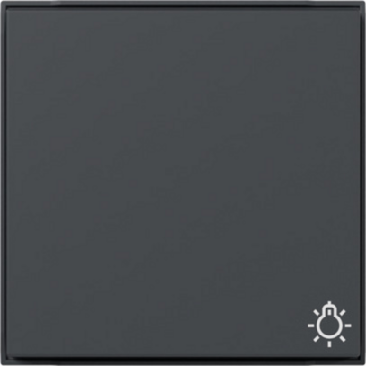 Gira Wippe mit Symbol Licht, anthrazit