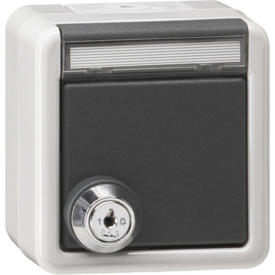 Gira Steckdose Schutzkontakt Typ F mit Klappdeckel und Schloss, grau