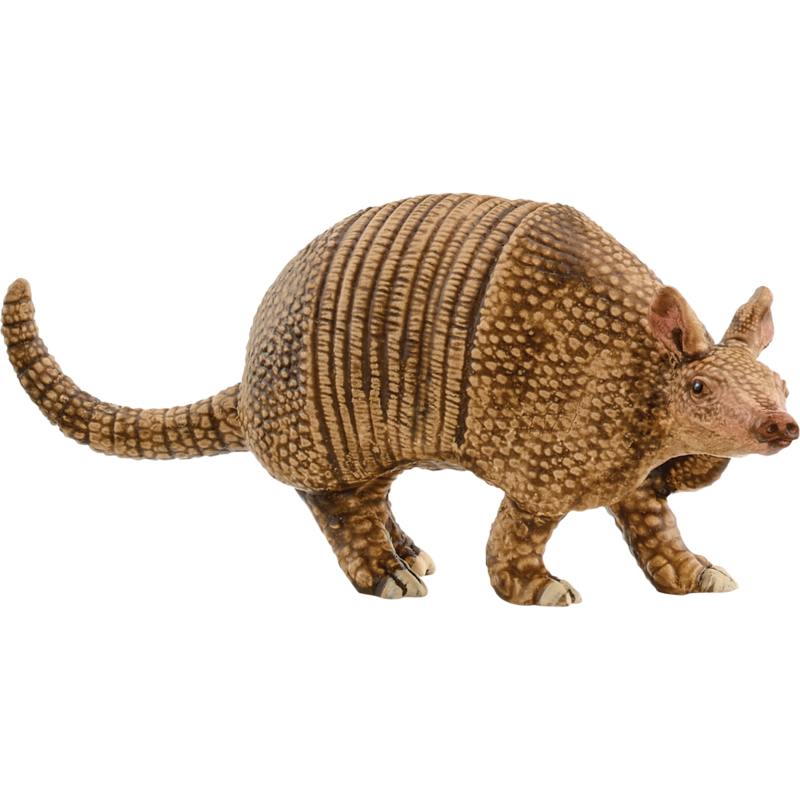 Schleich Wild Life Gürteltier Spielfigur