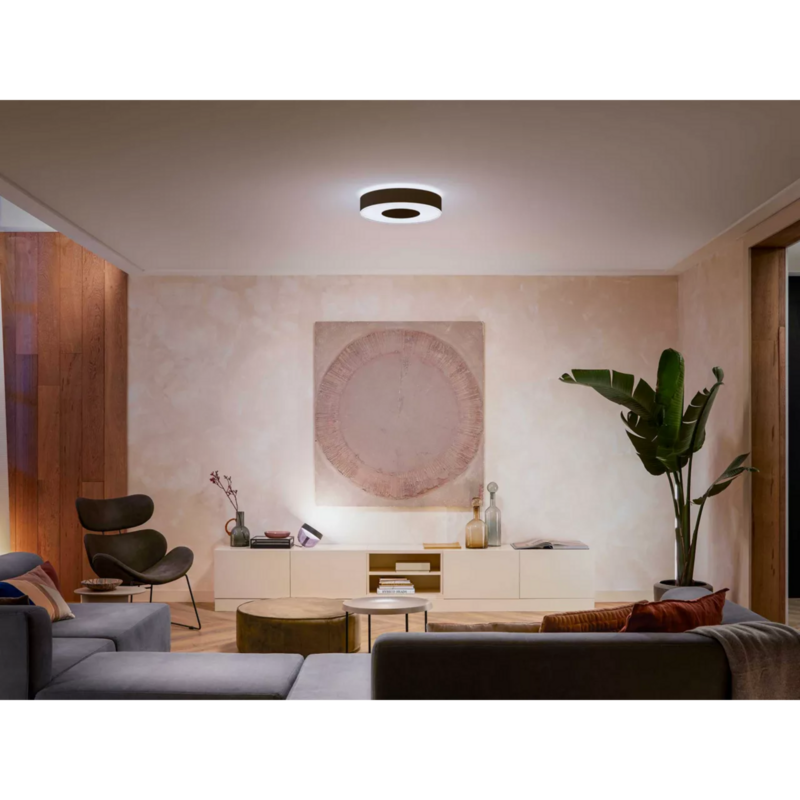 Philips HUE White & Color Ambiance Infuse Deckenleuchte M LED-Leuchte, schwarz