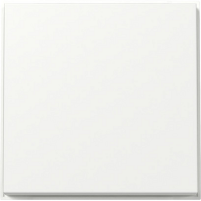 Gira Wippe mit Diebstahlschutz durch optional verschraubbares Klemmstück, weiß