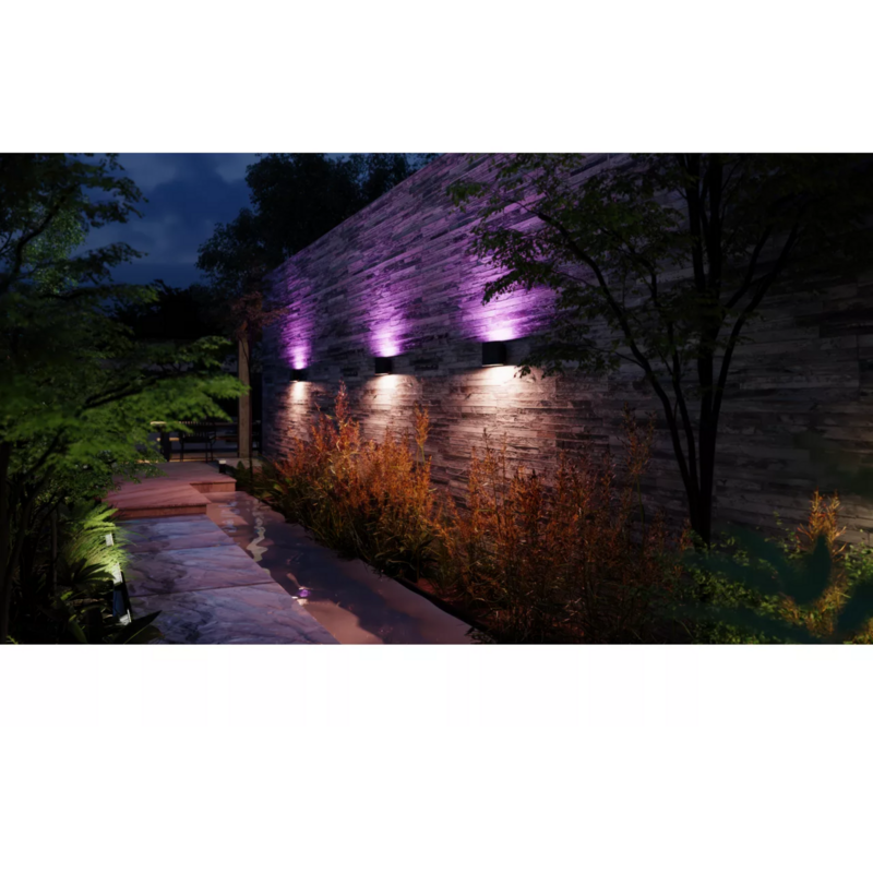 Philips HUE White & Color Ambiance Dymera Wandleuchte LED-Leuchte, schwarz