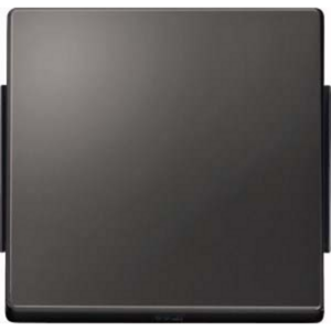 Merten Wippe für Wechselschalter, Kreuzschalter und Taster, einteilige