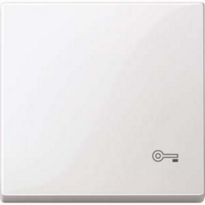 Merten Wippe Schlüssel für Wechselschalter, Kreuzschalter und Taster, einteilig