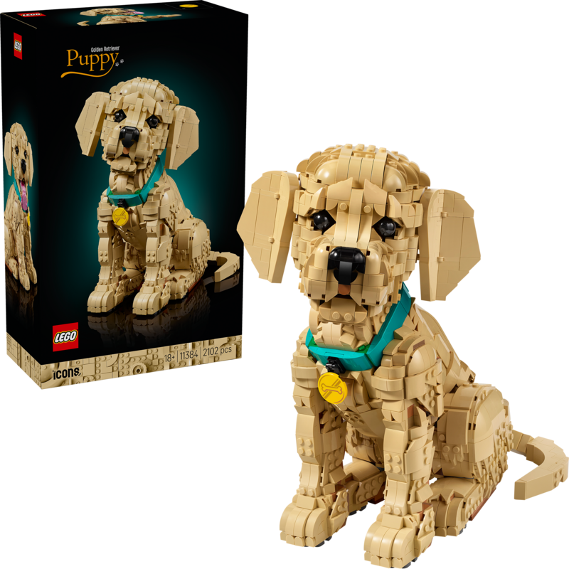 LEGO Icons Golden Retriever Welpe Konstruktionsspielzeug