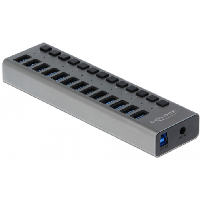 DeLOCK Externer SuperSpeed USB Hub mit 13 Ports + Schalter USB-Hub