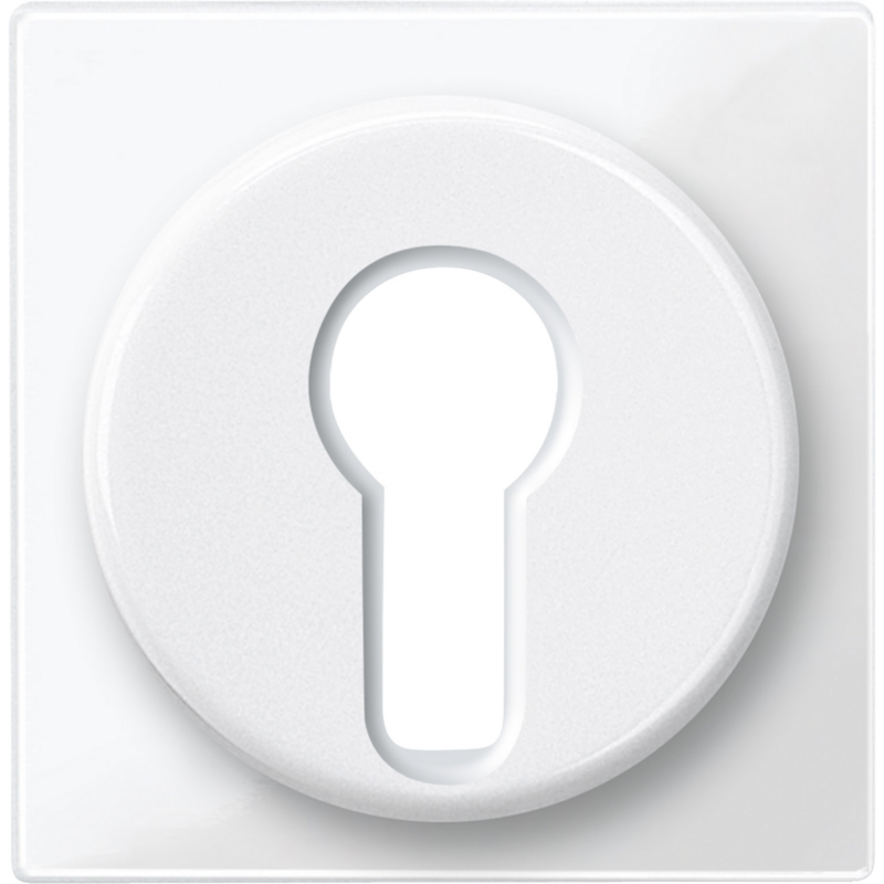 Merten Zentralplatte für genormte Profil-Halbzylinderschlösser mit 40 Millimeter