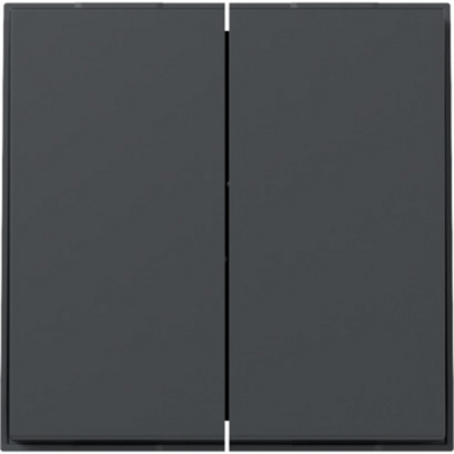 Gira Wippe zweifach gerade, anthrazit