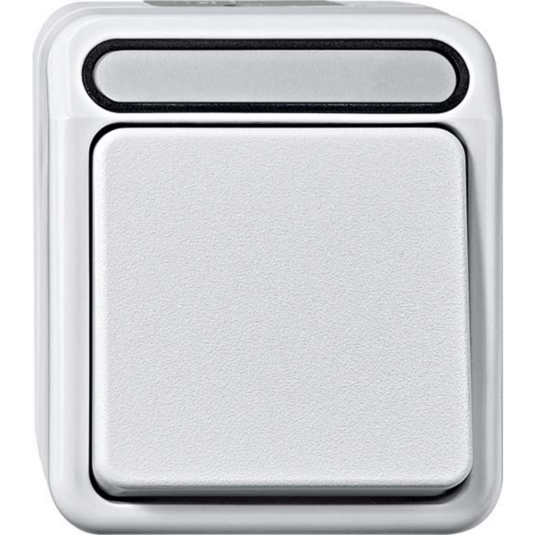 Merten Aus- und Wechselschalter 1-polig mit Wippe, Aufputz, Steckklemme, 10