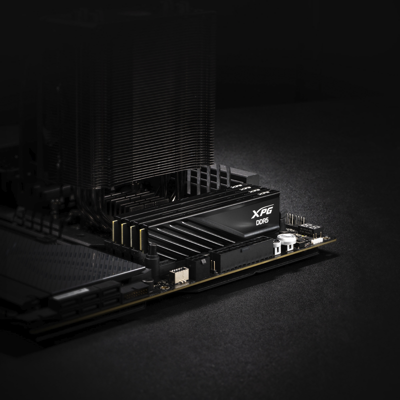 ADATA DIMM 32 GB DDR5-6000 (2x 16 GB) Dual-Kit Arbeitsspeicher, schwarz