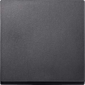 Merten Wippe einteilig für Wechselschalter, Kreuzschalter und Taster