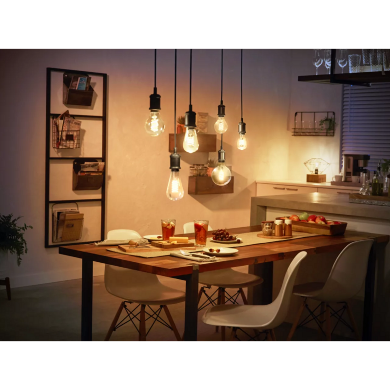 Philips HUE White E27 Filament Globe G93 550 Lumen LED-Lampe