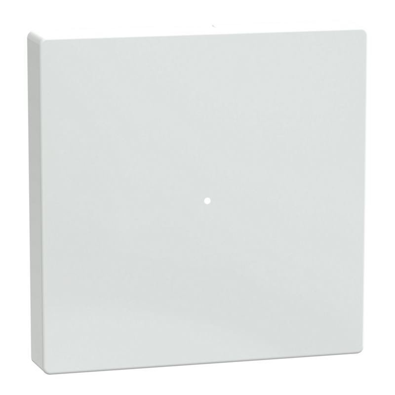 Merten Wippe einteilige Ausführung 1fach System M Typ MEG5210-0325, weiß