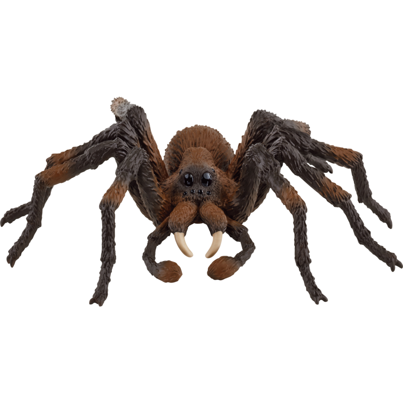 Schleich Wizarding World Harry Potter - Aragog Spielfigur