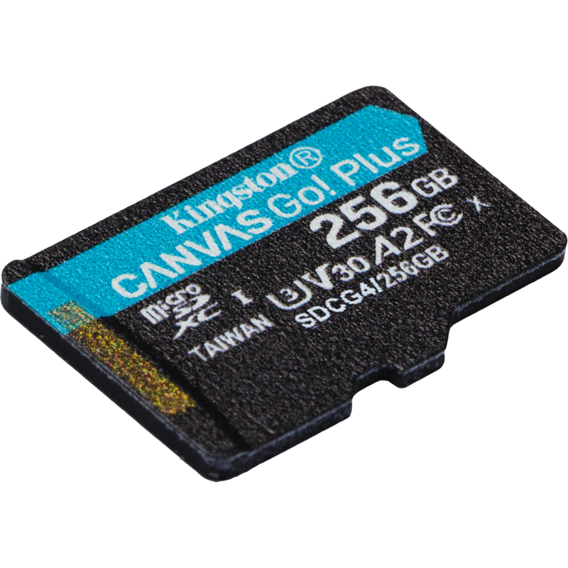 Kingston Canvas Go! Plus 256 GB microSDXC Speicherkarte, schwarz, UHS-I U3